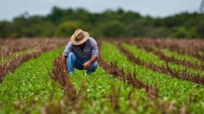 Osman Quero, presidente de Fedeagro, durante declaraciones sobre la legislación agroalimentaria y la inversión agrícola en Venezuela.