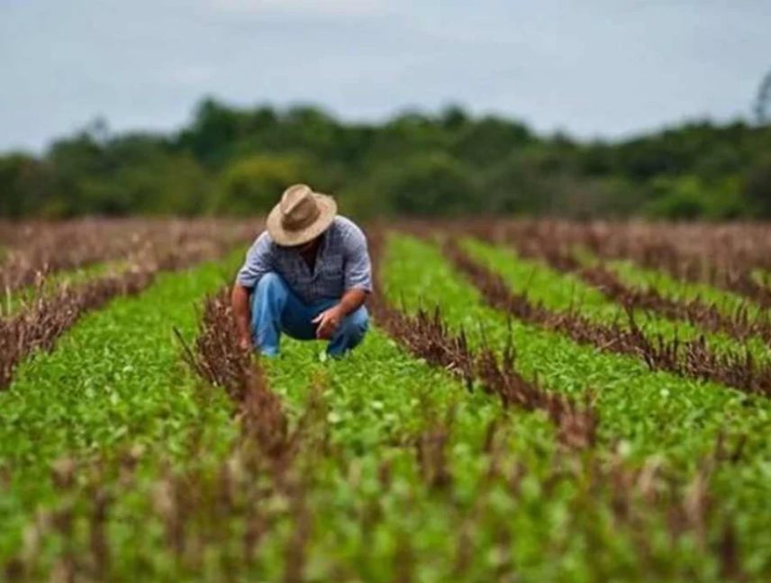 Osman Quero, presidente de Fedeagro, durante declaraciones sobre la legislación agroalimentaria y la inversión agrícola en Venezuela.