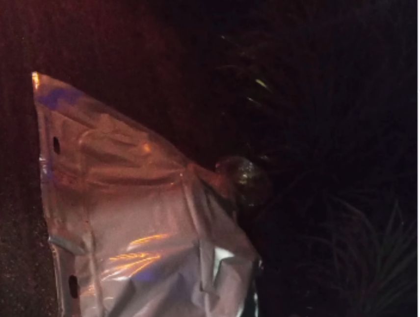Autopista Simón Bolívar de Ciudad Bolívar, donde ocurrió el arrollamiento mortal