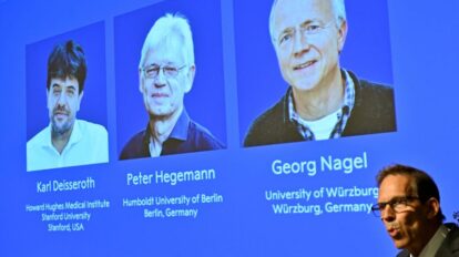 Premio Nobel de Medicina a 3 científicos por investigar la actividad cerebral
