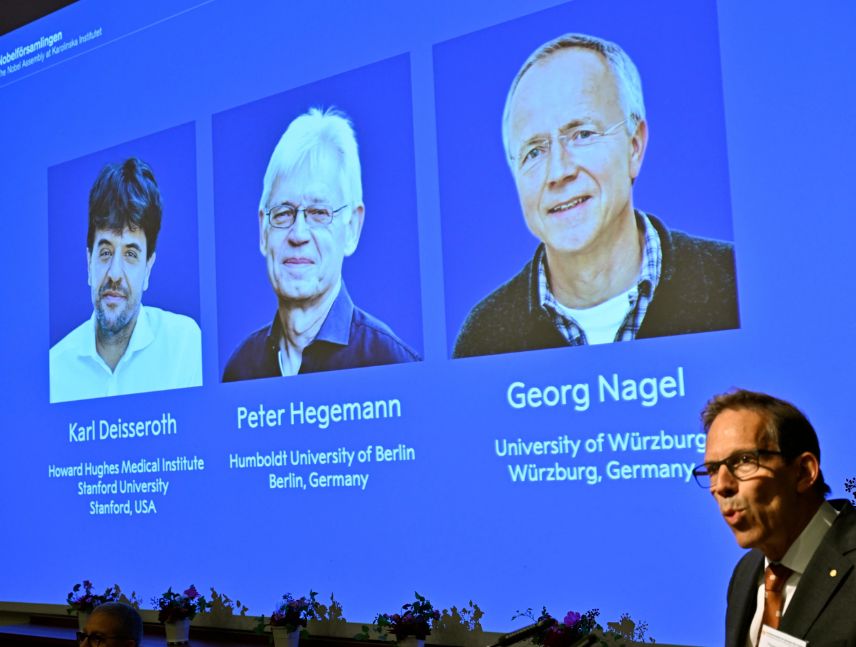 Premio Nobel de Medicina a 3 científicos por investigar la actividad cerebral
