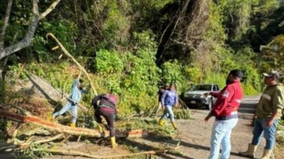 Despejan vías en la Colonia Tovar tras precipitaciones