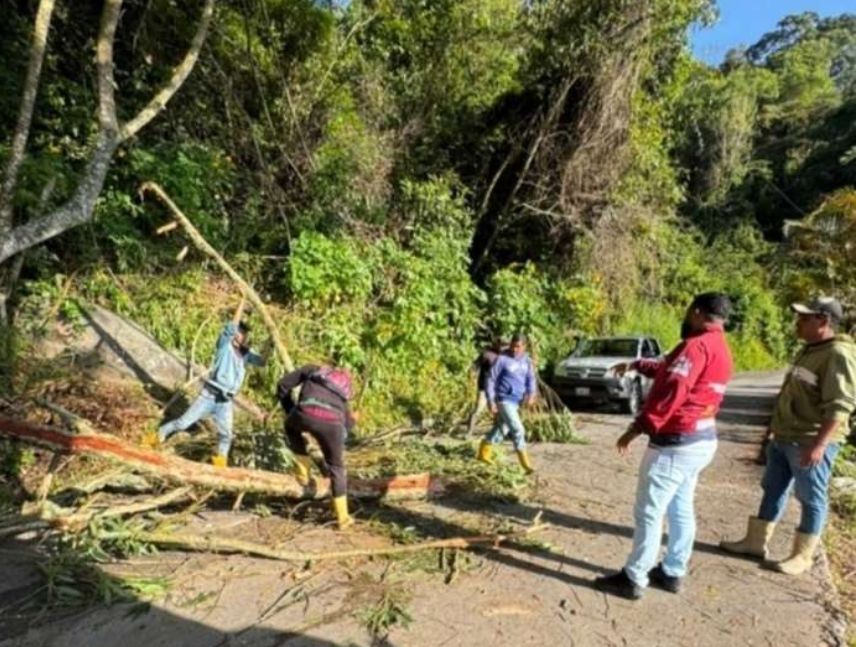 Despejan vías en la Colonia Tovar tras precipitaciones