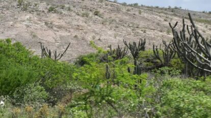 Refuerzan inspecciones en Lara para combatir delitos ambientales