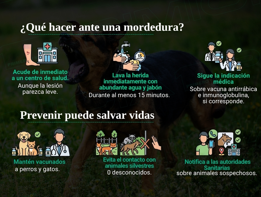 Casos de rabia humana en Bolívar, qué hacer