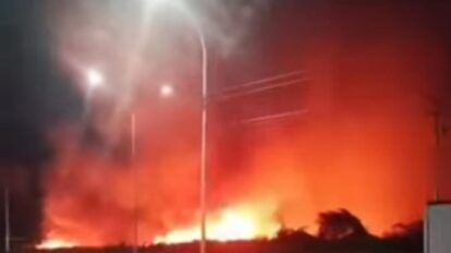 Reportan incendio en el Jardín Botánico