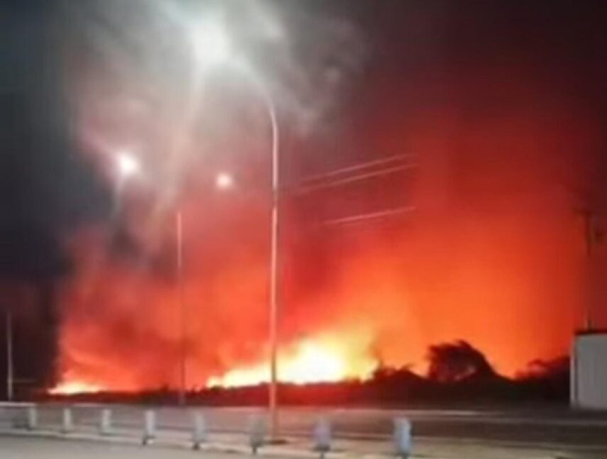 Reportan incendio en el Jardín Botánico