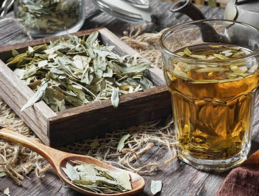 Infusión de sen para el estreñimiento