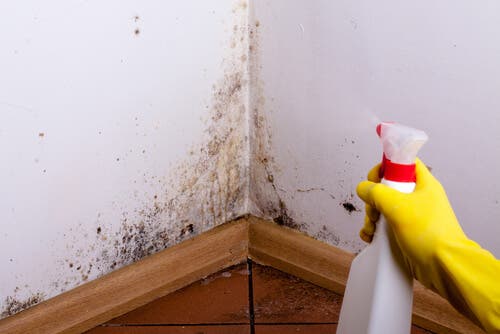Conoce las soluciones para manchas de humedad en paredes y techos